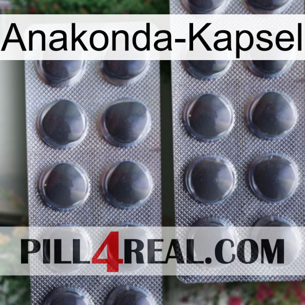Anaconda Capsule 31